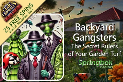 Get Wild with Beary Wild at Springbok Casino
